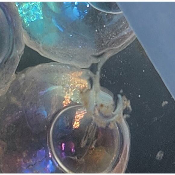 Unique Clear Glass Vase With Multi-Colored Glass Fish Suspended Inside Art Gift - Picture 13 of 13